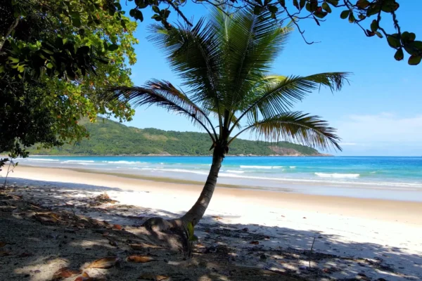 angraway-lopes-mendes-novo-03