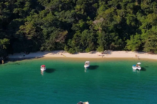 angraway-grumixama_0002_05