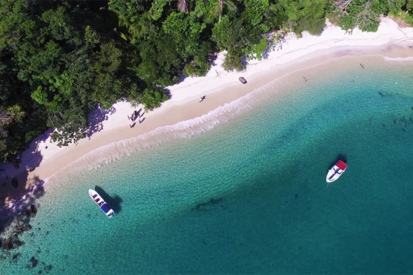 angraway-grumixama_0003_04