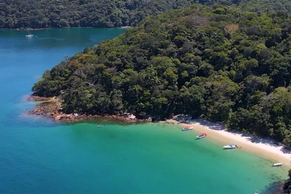 angraway-grumixama_0004_03