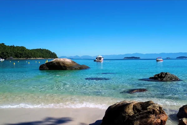 vivaangra-praia-do-dentista-02